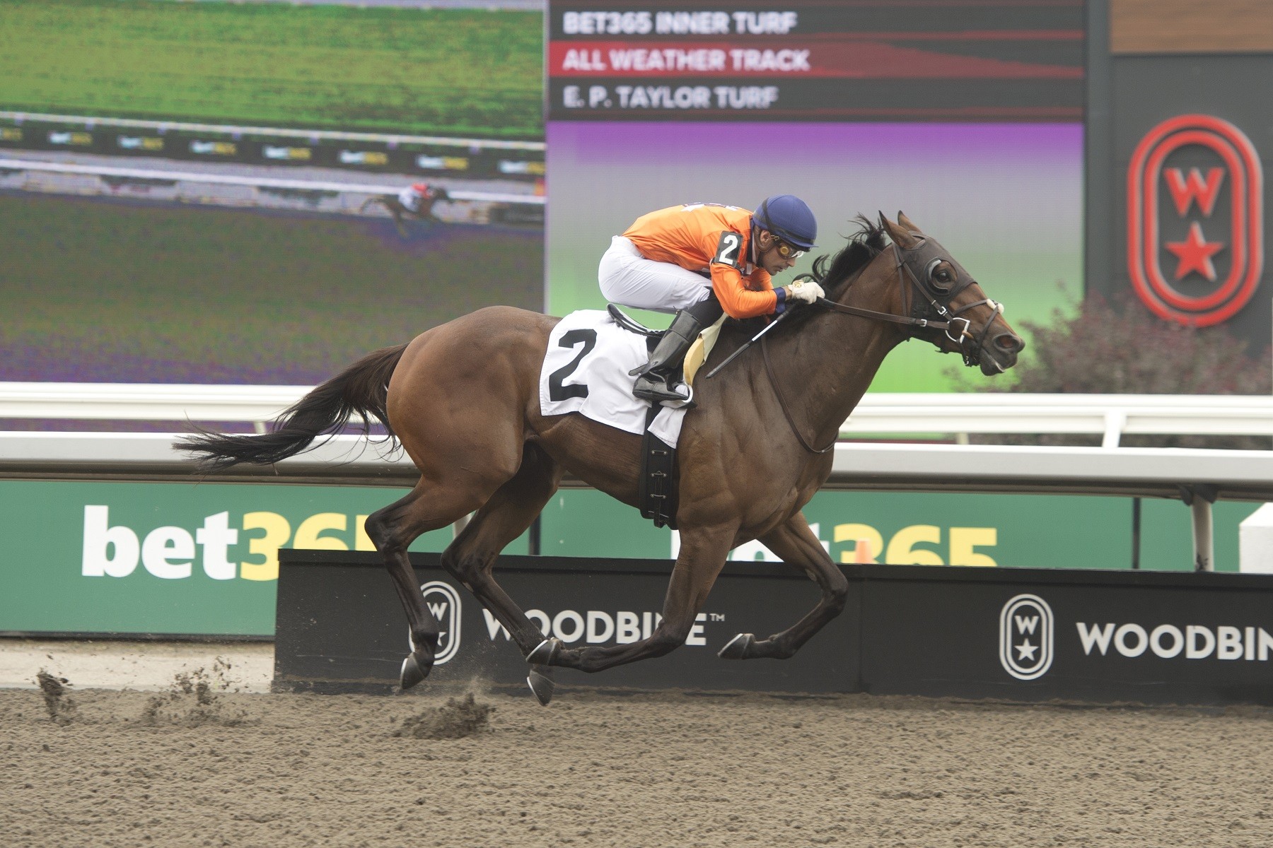 Bullet Journal winning at Woodbine