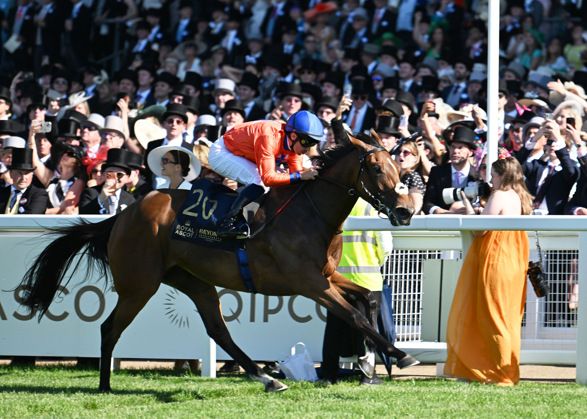 Green Carrera at Royal Ascot in orange and navy silks