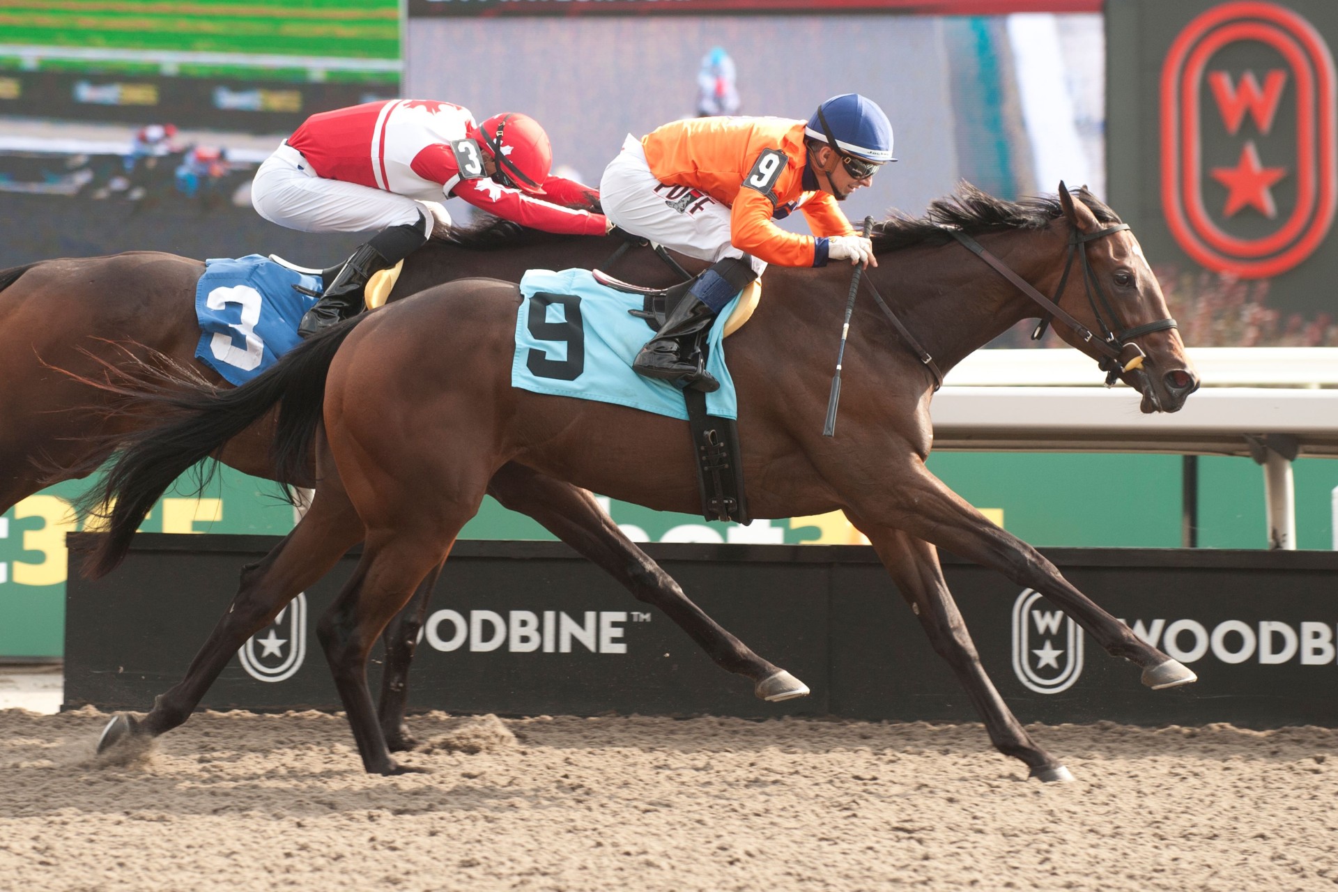 Katie’s Grace winning her debut at Woodbine