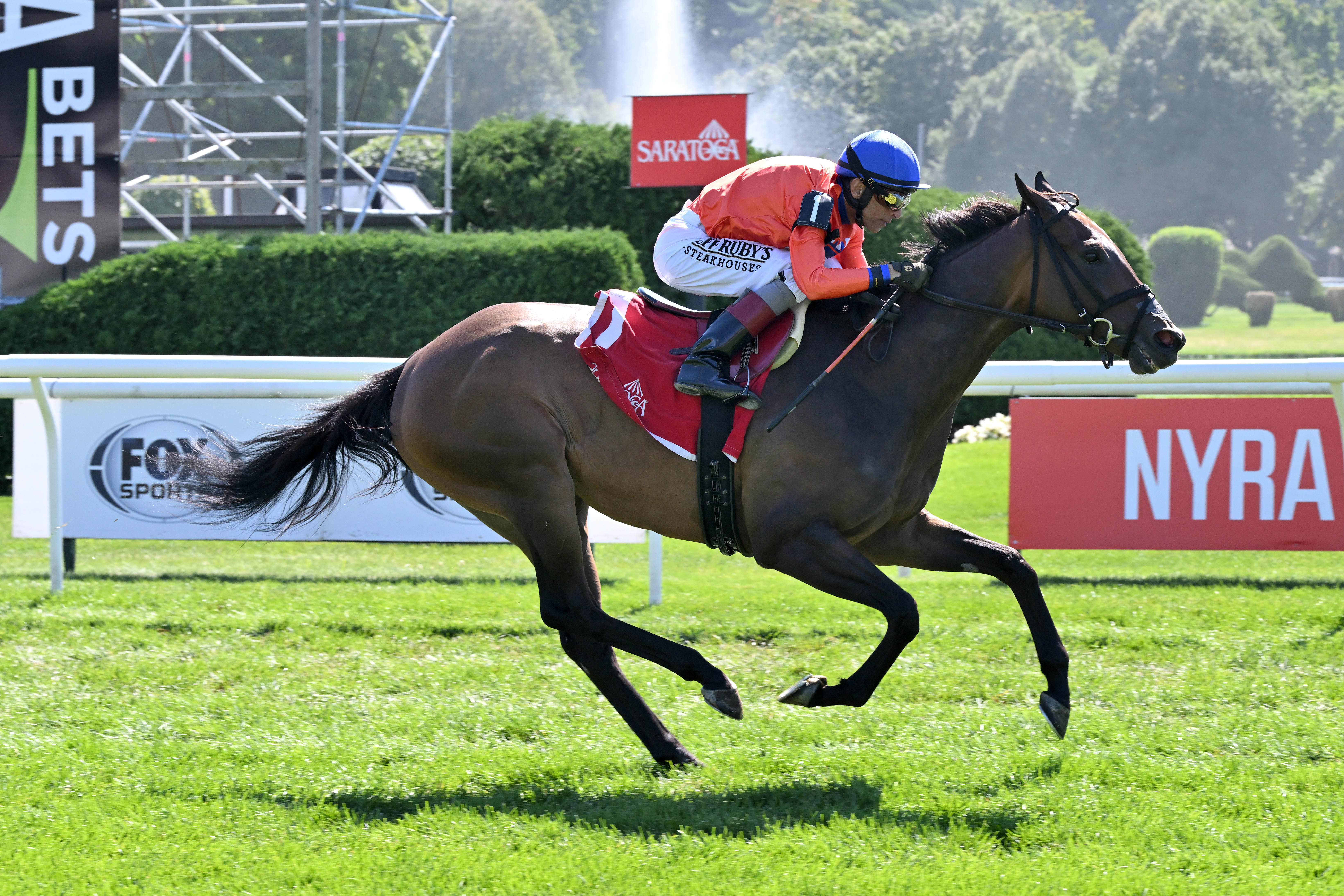 Miss Nightfall winning at Saratoga