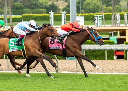 Take a Breath winning the Royal Heroine Stakes at Santa Anita
